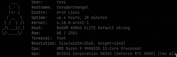 Vlastní projekty (fetch a stránka)